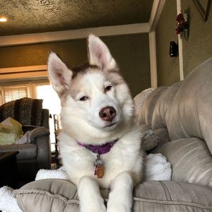 Meet your Posher, Deborah